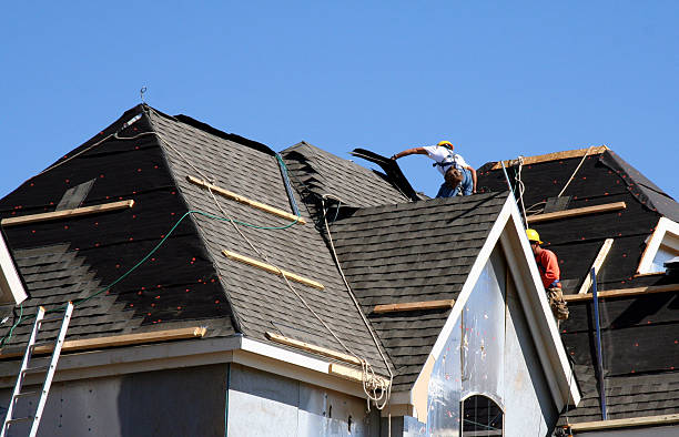 Best Local Roofing Companies  in Black Diamond, FL