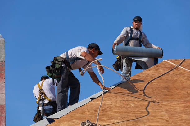 Best Commercial Roofing Services  in Black Diamond, FL