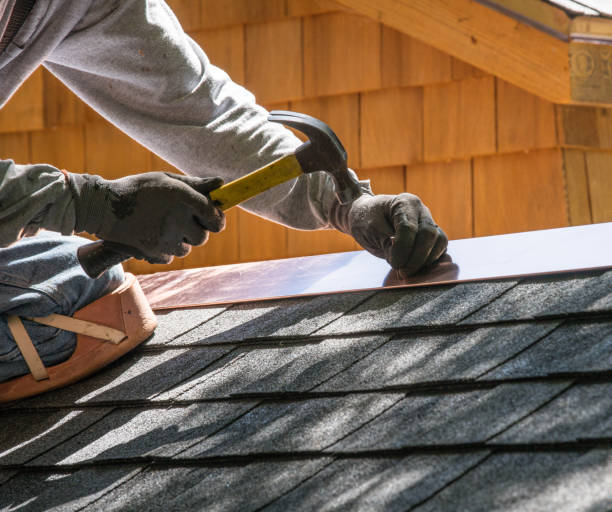 Best Roof Gutter Cleaning  in Black Diamond, FL